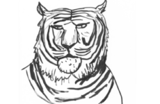 DAVID SHRIGLEY DELIBERATELY SIMPLISTIC BUT HAUNTINGLY DARK CARTOONS