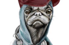 ILLUSTRATION: MIA OVERGAARD