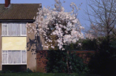 GEORGE SHAW PAINTINGS OF NOSTALGIA AND PATHOS