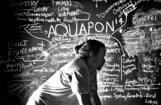 HONG KONG AND THE BUSINESS OF DESIGN