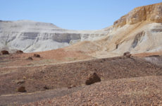 SONGLINES OF THE HERE AND NOW: artist Tanya Houghton