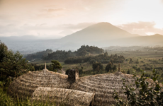 BISATE LODGE: WALK ON THE WILD SIDE IN RWANDA