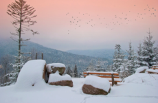 THE BLACK FOREST SPA TOWN OF BAD HERRANALB