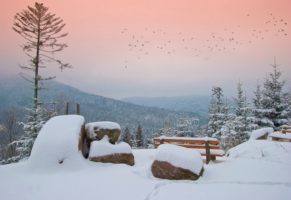 THE BLACK FOREST SPA TOWN OF BAD HERRANALB