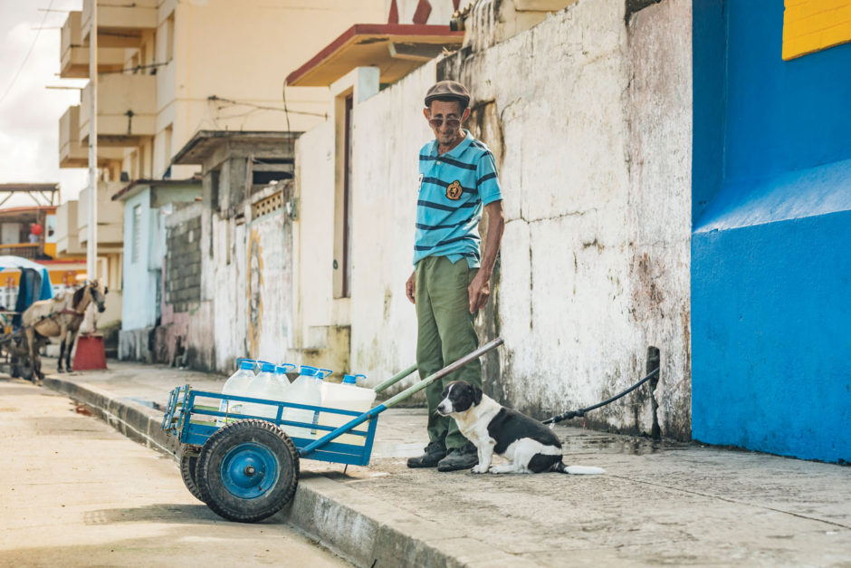 CUBAN AMIGOS.: STRAY DOGS & CATS IN HAVANA
