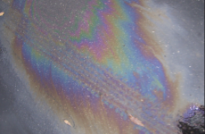 The Importance of Fusing Nature and Technology into Art