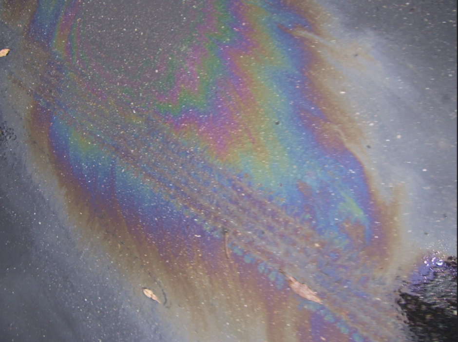 The Importance of Fusing Nature and Technology into Art