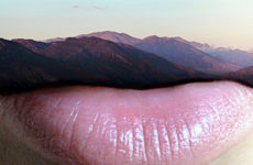 MONICA ALVES DE CARVALHO > DIGITAL CREATIVE