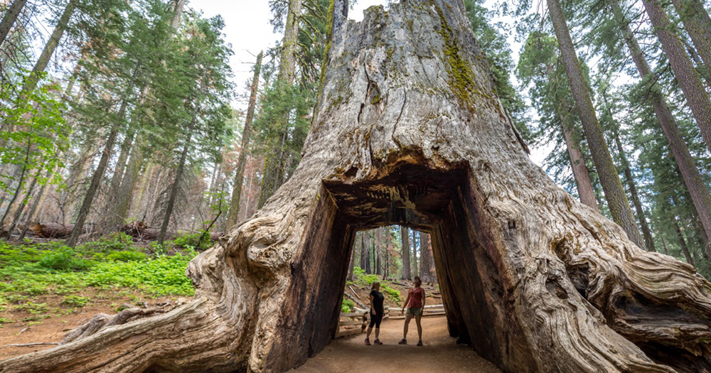The literary destinations to inspire a love of reading
