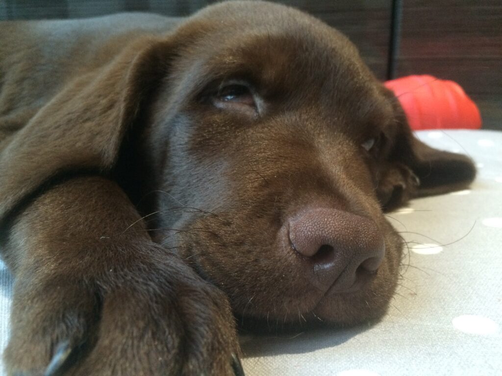 PROJECT SOOTHE: DOES THIS PICTURE CALM YOU DOWN?