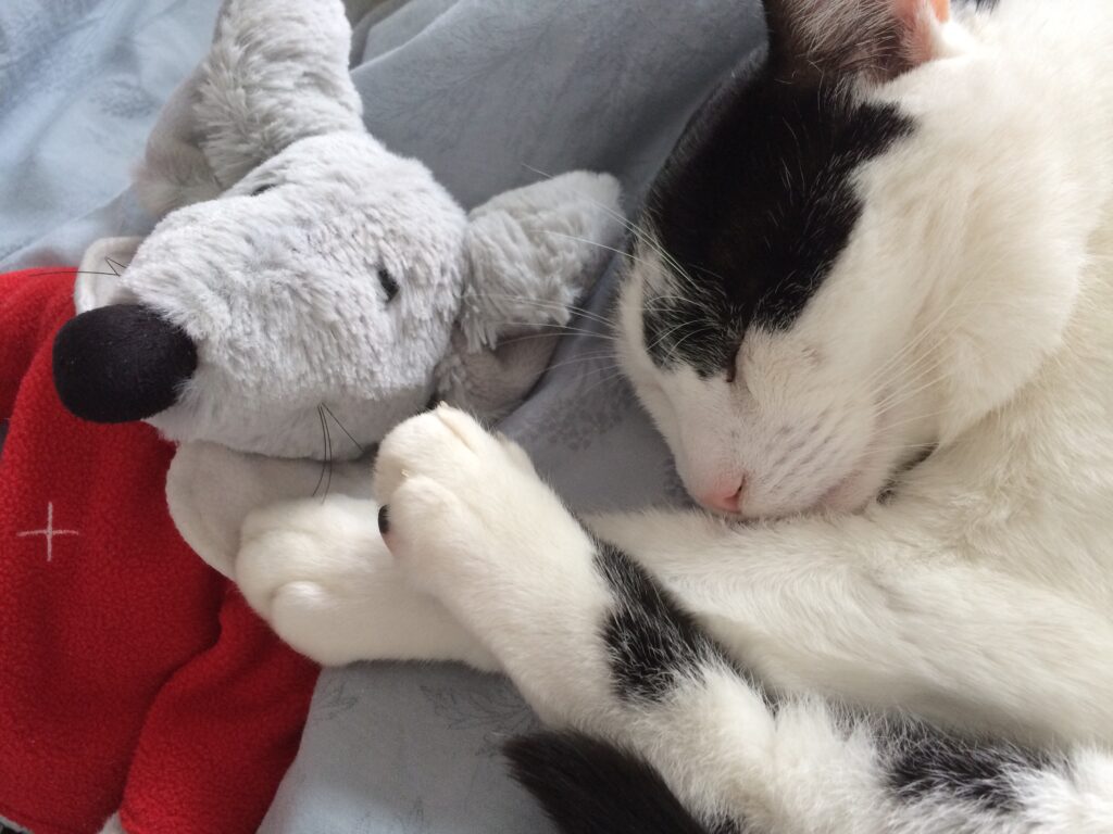 PROJECT SOOTHE: DOES THIS PICTURE CALM YOU DOWN?