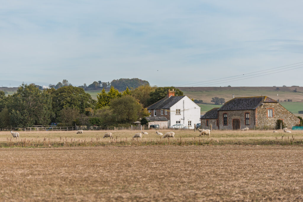 Glamping at Romney Marsh Shepherds Huts