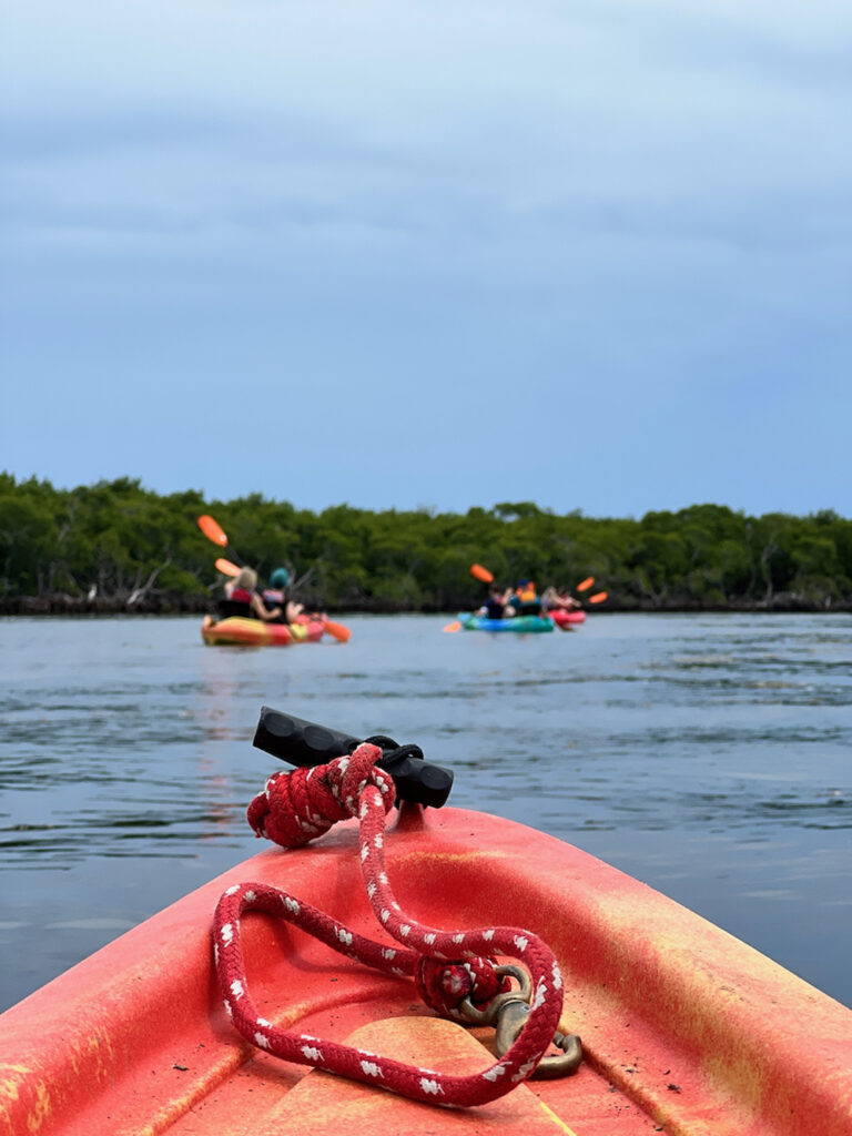 THE ROAD WELL TRAVELLED ALONG HIGHWAY 1