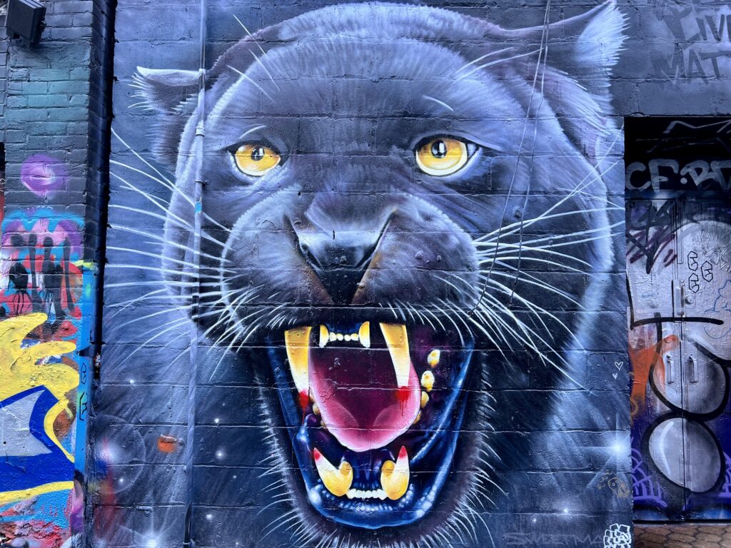 TORONTO: CANADA’S CAPITAL OF COOL