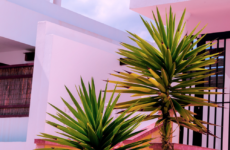 CONTEMPORARY LUXURY: FINDING SOPHISTICATION IN SIMPLICITY