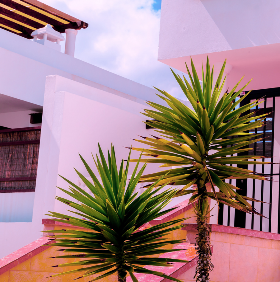 CONTEMPORARY LUXURY: FINDING SOPHISTICATION IN SIMPLICITY