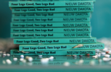 FOUR LEGS GOOD, TWO LEGS BAD - ANIMAL ART