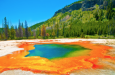 SIX WAYS TO EXPERIENCE YELLOWSTONE