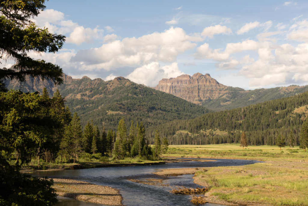 SIX WAYS TO EXPERIENCE YELLOWSTONE