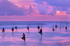 EXPLORING SRI LANKA: FROM CULTURE TO COASTLINE