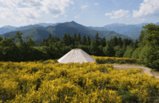 ART MEETS NATURE: OASYHOTEL’S CONTEMPORARY ART TRAIL IN TUSCANY