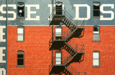 EXPLORING DENVER’S CREATIVE SCENE WITH ARTIST ANDREW WOODWARD