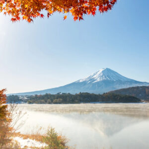 BEST TIME TO VISIT JAPAN IN 2026: WHY IT’S NOT CHERRY BLOSSOM SEASON